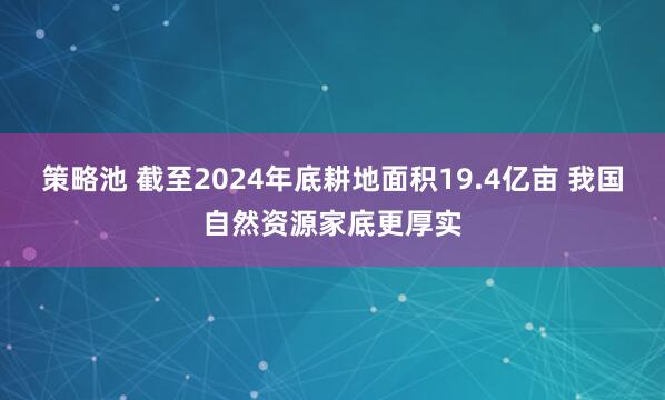策略池 截至2024年底耕地面积19.4亿亩 我国自然资源家底更厚实
